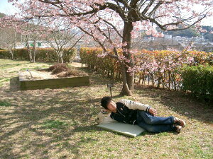 W[@c60cm×85cm@M[TCY@Ăې􂢂łD̂̏łB  ^^~ h  O 􂦂