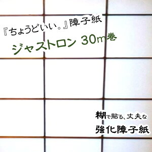 yjɂq WXgn q 95cm×30m 1{zn q v  \₷  \ v CN diy qdiy 