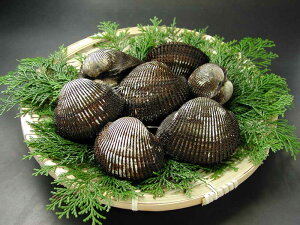 ���˓��Y�@�V�R�����ԊL�@1kg��(10�O��)