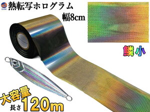 M]ʃzOV[g ؕ (Etype)y11/1聚P10{z 120m 8cm ^WO A[p A[ M] zOV[g V[g V[ A[p 상^WO zO V[