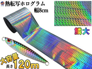 M]ʃzOV[g ؕ (Htype)y11/1聚P10{z 120m 8cm ^WO A[p A[ M] zOV[g V[g V[ A[p 상^WO zO V[