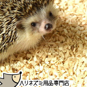 はりねずみんみん共和国 ホワイトポプラチップ 5リットル アスペンチップ ハリネズミが掘って遊べる床材 ホリホリ床材 オリジナル床材 ハリネズミ 敷き砂 砂 【動画あり】