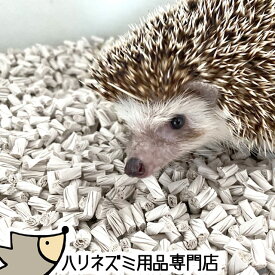 楽天市場 ハリネズミ 床材の通販