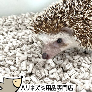 はりねずみんみん共和国 しわしわペーパー床材 500g ハリネズミが掘って遊べる床材 ホリホリ床材 オリジナル床材 ハリネズミ 敷き砂 砂 【動画あり】