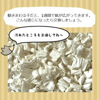 はりねずみんみん共和国オリジナルしわしわペーパー床材500g
