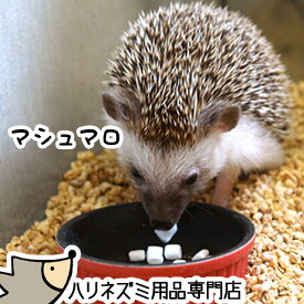 ゆうパケットOK はりねずみ用マシュマロ 20g おやつ ハリネズミ フード エサ 餌 メール便対応【動画あり】