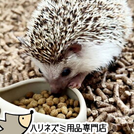 ゆうパケットOK ハリネズミのむしたまペレットフード「ソルジャー」 300g はりねずみんみん共和国オリジナルフード02 ハリネズミ フード エサ 餌 メール便対応【動画あり】