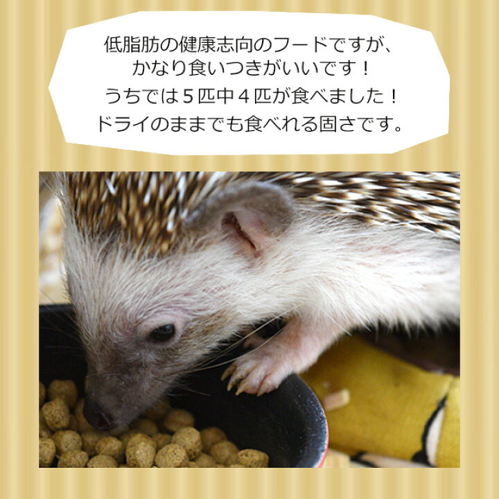 楽天市場 Fay フェイ 500g ハリネズミ専用フード Tiny Tot Tail はりねずみんみん共和国