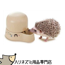 楽天市場】ハリネズミ 飼育 用品の通販