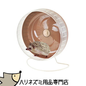 }J CASA ÉzC[31 qǂłgInlY~pzC[ 񂵎 nlY~y悠z