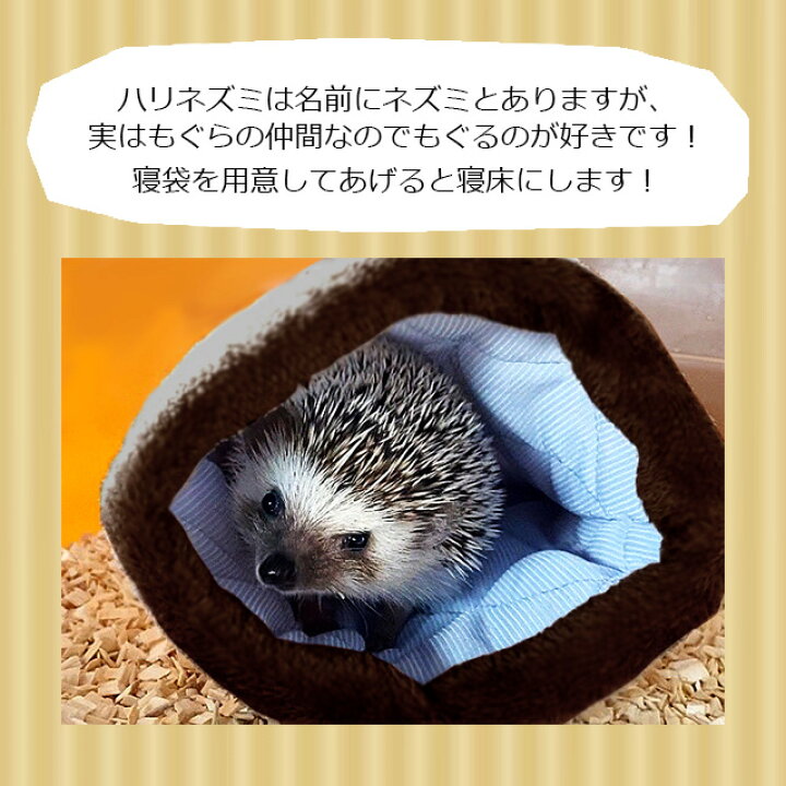楽天市場】ゆうパケットOK はりねずみんみん共和国 オリジナル寝袋05 