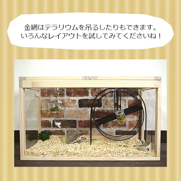 楽天市場 はりねずみんみん共和国 オリジナルケージ03 アクリルウッドケージ ハリネズミ専用ケージ 木製ケージ 背景が変えられる Sns映え抜群 大型商品 同梱不可 はりねずみんみん共和国