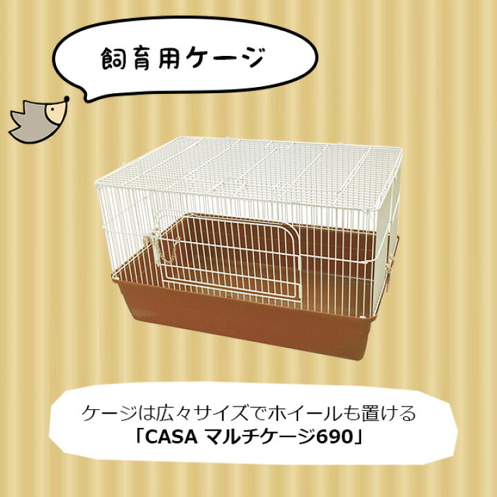 楽天市場】ハリネズミがすぐ飼える 飼育グッズ13点セット 初心者セット 