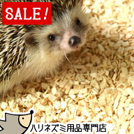 【スーパーSALE特別価格】はりねずみんみん共和国 ホワイトポプラチップ 5リットル アスペンチップ ハリ…
