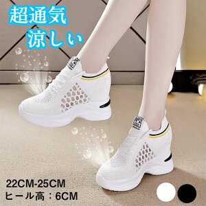 2023tā@Xj[J[@X|[cT_@6CM q[   Ȃ ʋC ɂȂ ₷ fB[X 傫TCY TCY y y t  H  ʋ 