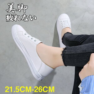 _Ԍ聚P5+10%OFF^Xj[J[@{v@tbg   Ȃ ʋC ɂȂ ₷ fB[X v@؊v@傫TCY TCY y y t  H  