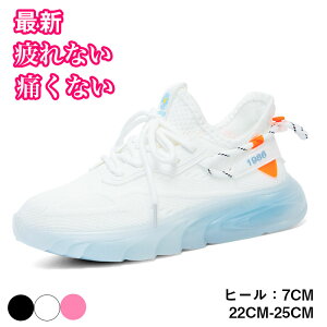 Xj[J[@tbg   Ȃ ʋC ɂȂ ₷ fB[X 傫TCY TCY y y t  H  ʋ ʊw lC s v[g