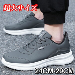 Xj[J[@ʋC@   Ȃ ʋC ɂȂ ₷ @ Y @傫TCY TCY y y t  H  ʋ ʊw lC s v[g