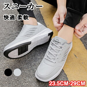 Xj[J[@ʋC@   Ȃ ʋC ɂȂ ₷ @ Y @傫TCY TCY y y t  H  ʋ ʊw lC s v[g