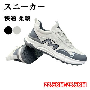 Xj[J[@ʋC@   Ȃ ʋC ɂȂ ₷ @ Y @傫TCY TCY y y t  H  ʋ ʊw lC s v[g