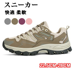 Xj[J[@ʋC@   Ȃ ʋC ɂȂ ₷ @ Y @傫TCY TCY y y t  H  ʋ ʊw lC s v[g