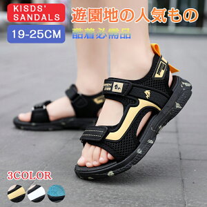 WjA T_ j̎q 19-25.0cm LbY X|[cT_ 傫TCY qpT_ y V ʊw ^ o ~ ʋC ₷  ėp ct w Z v