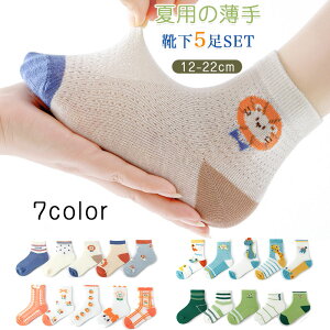 C LbY qC tėp  q C V[g 5Zbg \bNX LbY j̎q ̎q xr[ w12`22cm Mtg j  w  ObY V Vw ԕ Lb