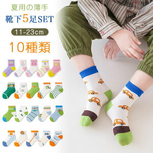 C LbY qC tėp  q C V[g 5Zbg \bNX LbY j̎q ̎q xr[ w11`23cm Mtg j  w  ObY V Vw ԕ Lb