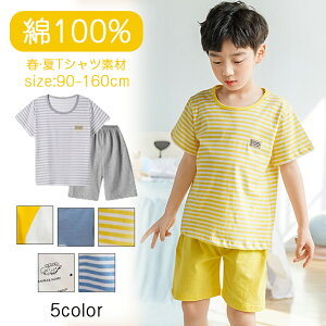 qp pW} LbY  킢 q̃pW}  100% j̎qƏ̎q 傫 ƒ땞 t Ă킢 yĔ ʋC Ăh~ G̗ǂnŉK ql̔