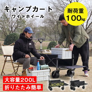 AEghAS e200L ω׏d100kg L[J[g ܂肽 4  y Lv BBQ o[xL[ W[  K[fjO q L[S AEghA AEghAL