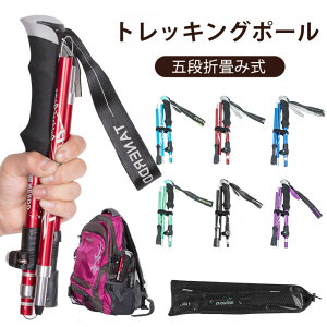 _Ԍ聚P5{^gbLO|[ ܂肽 y Lk 1{Zbg 5i܂肽ݎ ŏ30cm 6F yʃA~  Z  2dZ[teBbN\ ω׏d ϖ 