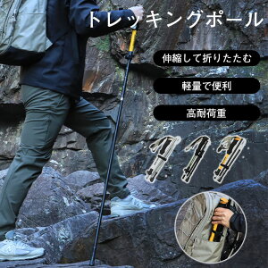 gbLO EH[LO|[ gbLO|[ 1{Zbg g165`185cmɓKp ܂肽 y gbLOXebL A~jE XebL XeBbN Ro  EH[L