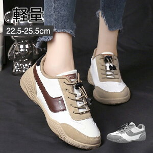 Xj[J[ fB[X lC V[Y EH[LOV[Y jOV[Y WMOV[Y X|[cV[Y ^C  킢 y ꂢ  wlC ~ 