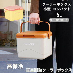 xgt ^ RpNg 킢 5L  N[[obO N[[oXPbg N[[BOX ۗobO ۗ Lvpi W[ C BBQ ނ  h