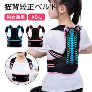 Lwxg q pT|[^[ p ̎p␳ LwP ␳䂪 LbYTCY ʋC L΂ ObY Ci[ \ ObY w ObY ^xg 