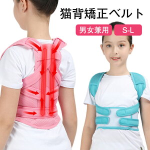 Lw Lwxg qp pT|[^[ pT|[^[ p␳ LbY w؋xg ̎q j̎q xg w T|[^[ q xg ʋC ␳  P 䂪 