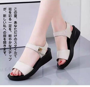 ăT_ _炩 L b O ItBXT_ ~ y  JWA Vv s 킢 Ȃ fB[XT_ yT_ fB[X ₷ 