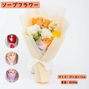 Mtg  Əj Ǝ  j ̂܂܏ av[g IV 傫 o J[l[V Ђ܂ ̓ \[vt[ v[gX^fBOu[P 