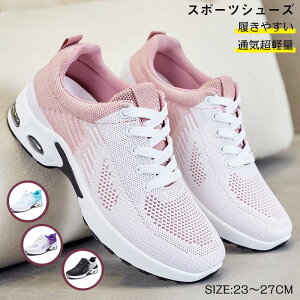 _Ԍ聚P5+10%OFF^Xj[J[ fB[X p ^ C   jOV[Y y ʋC EH[LOV[Y X|[cV[Y 23~27CM