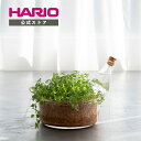 【公式ショップ】HARIO プランターに挿す水やり器