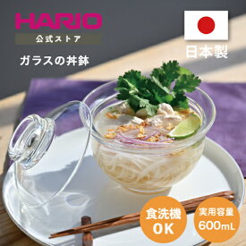 【公式ショップ】HARIO ガラスのある生活　ガラスの丼鉢　ハリオ 公式 丼ぶり 鉢 耐熱ガラス ガラス皿