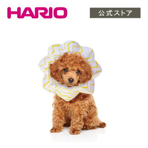 RpNg GUxXJ[ ybgpی   L ^ erico GR nI HARIO Vbv