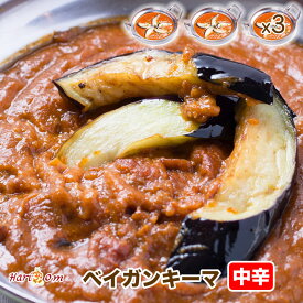 【began keema3】なすのベイガンキーマカレー（中辛） 3人前セット★インドカレー専門店の冷凍カレー