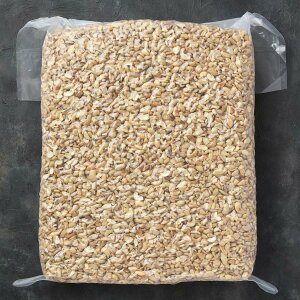 yCashew Nuts Broken 10kgzJV[ibc u[N   ƖpTCY 10kg LP