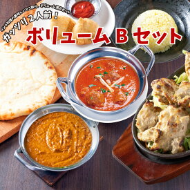 【volumeBset ボリュームBセット】インドカレー人気店のお取り寄せ 6種類から選べるインドカレー2種と人気のサイドメニューをセットにしたボリューム満点インドカレーの冷凍セット ！