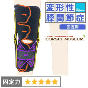 yό`G֐ߏǁzsŒptGT|[^[bj[PA[EACL