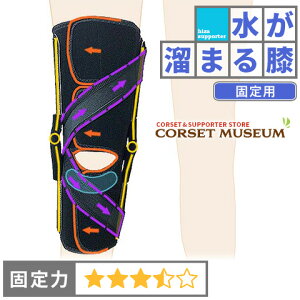 y܂GzsŒptGT|[^[bj[PA[EOA3