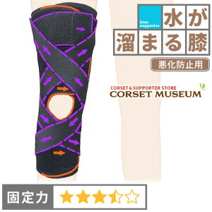 y܂Gzsh~ptGT|[^[bX|[cj[K[h