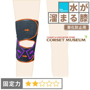 y܂Gzsh~ptGT|[^[b^GNXXG