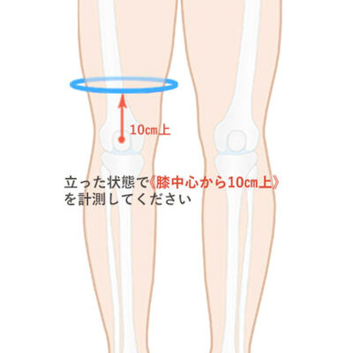 楽天市場 変形性膝関節症 固定用 膝サポーター エクスエイドニーａｃｌ コルセットミュージアム